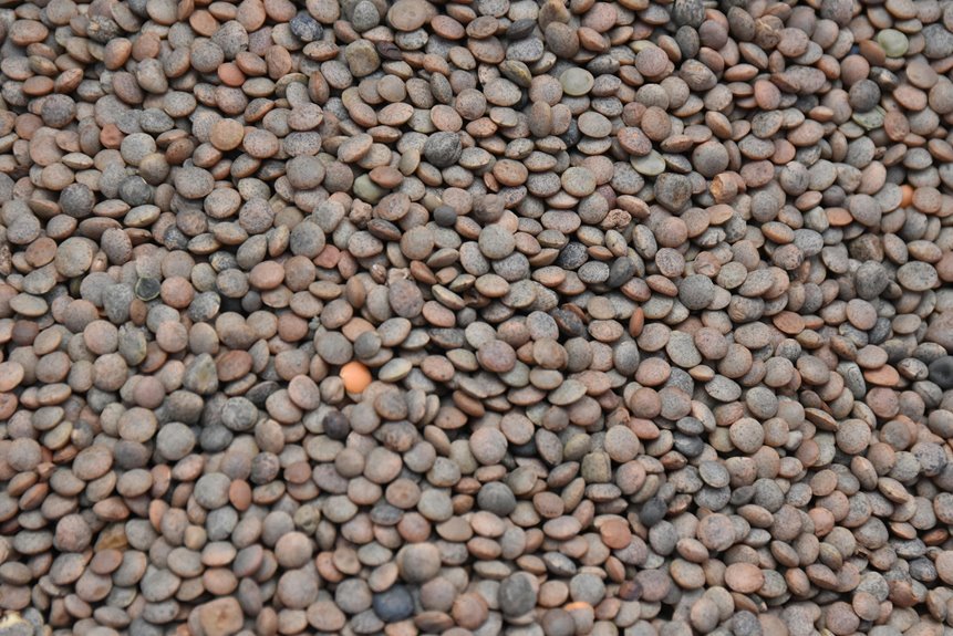 market lens transformation pulse