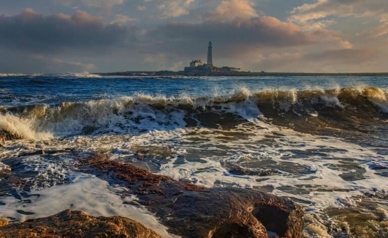 pioneer beacon audience engagement