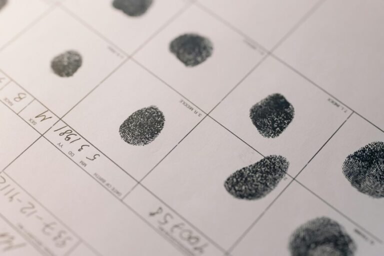structured digital intelligence records list