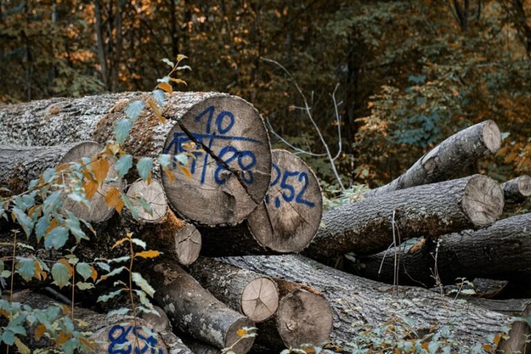 structured phone number log highlights