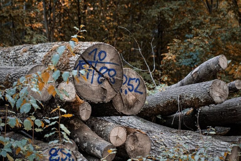 phone number verification logs list